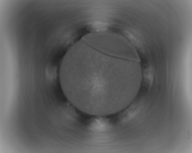 X0000113530372200909250910