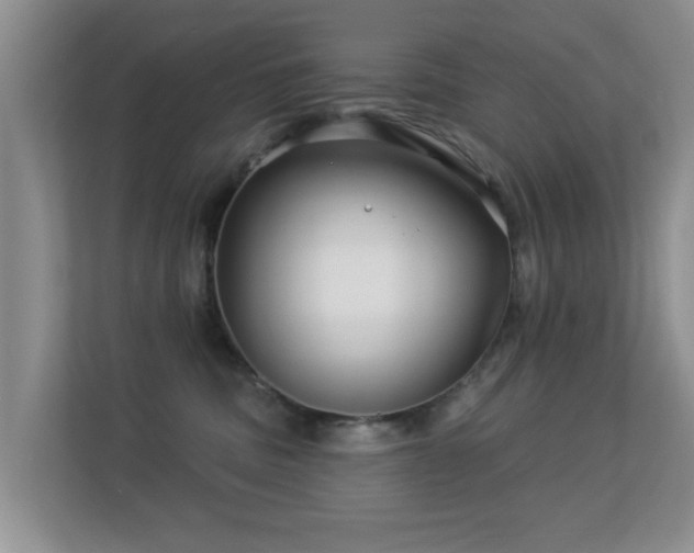 X0000113530379200909250911