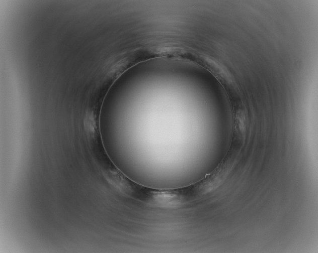 X0000113530380200909250911