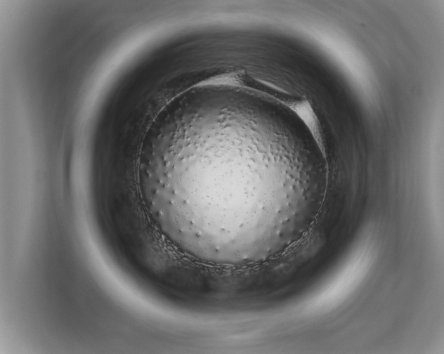 X0000113530383200909250911