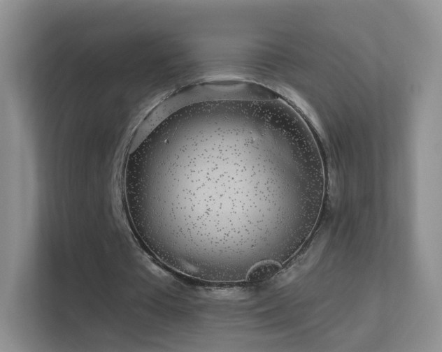 X0000113530385200909250910