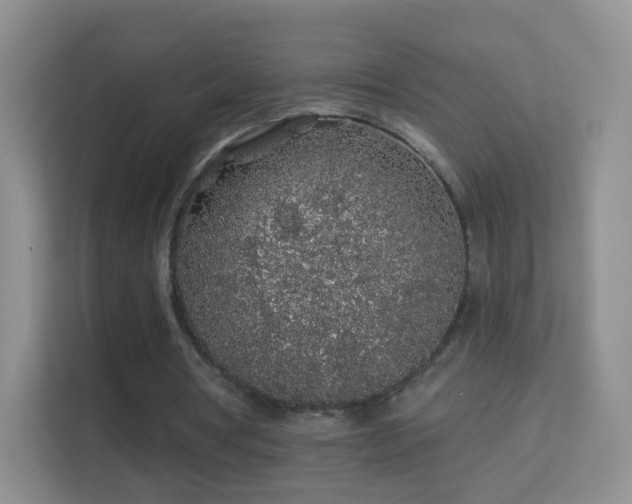 X0000113530386200909250910