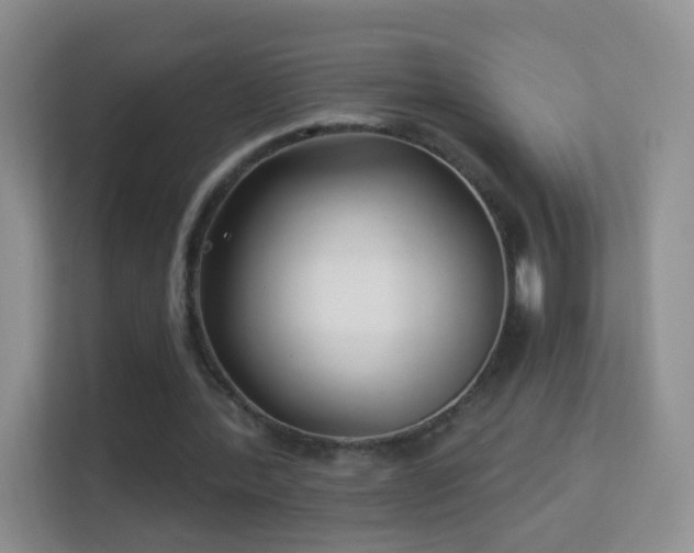 X0000113530388200909250910