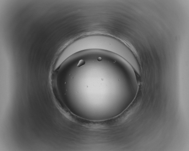 X0000113530389200909250910