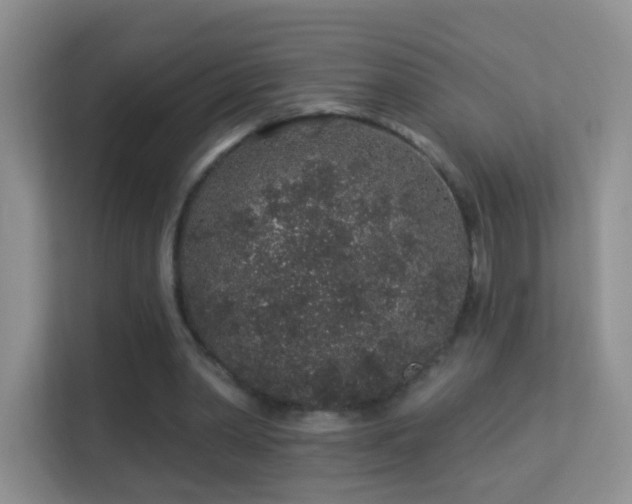 X0000113530390200909250910