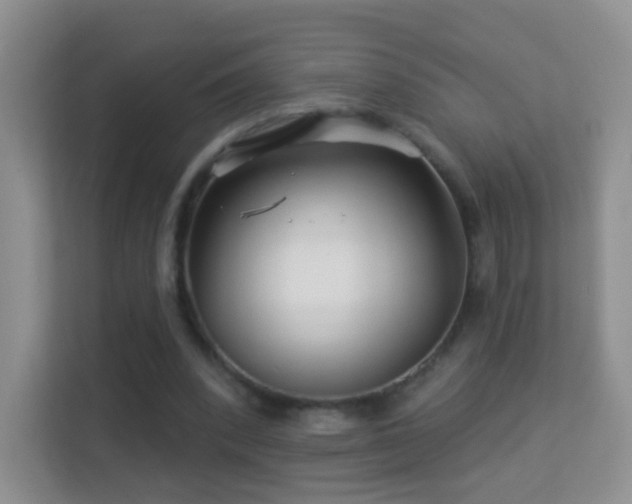 X0000113530392200909250910