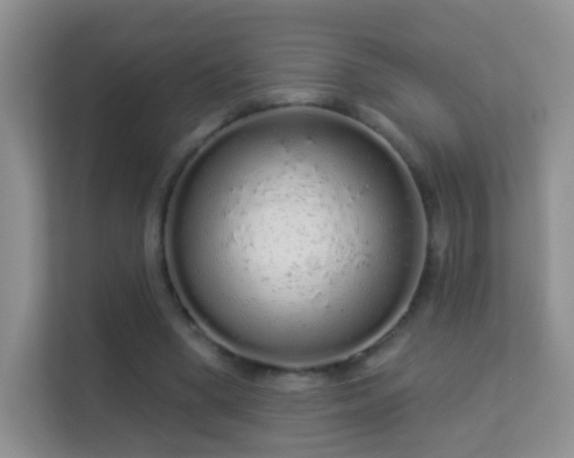 X0000113530394200909250910