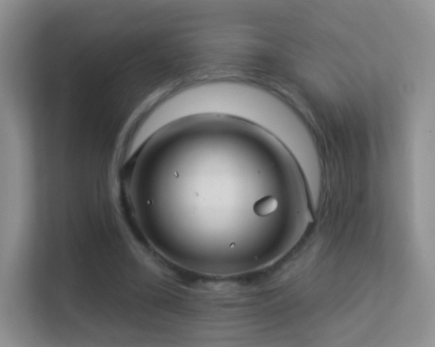 X0000113530395200909250910