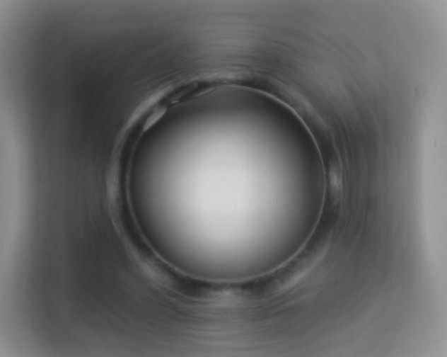 X0000113530396200909250910