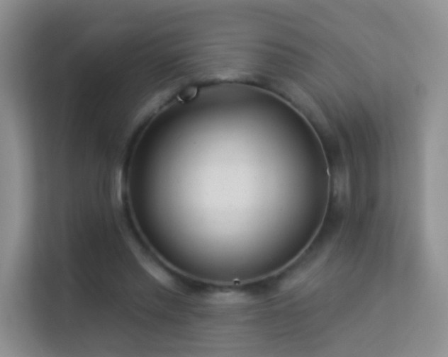 X0000113530397200909250910