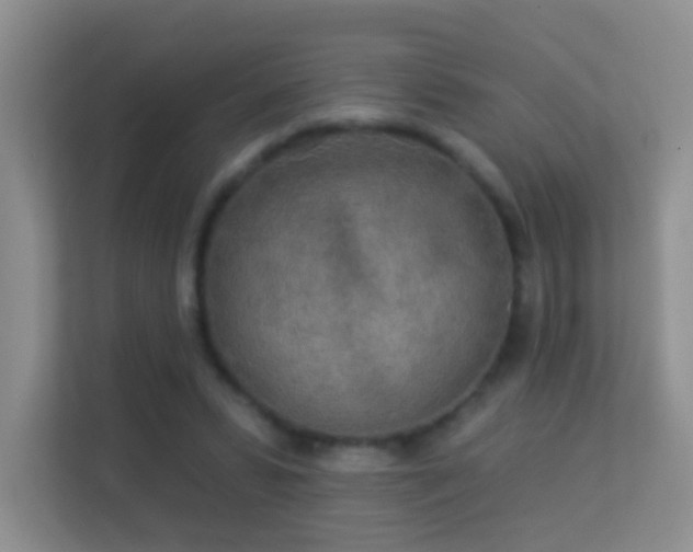 X0000113530399200909250910