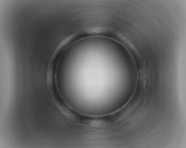 X0000113530400200909250910