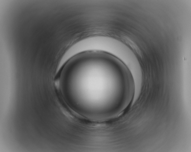 X0000113530401200909250910