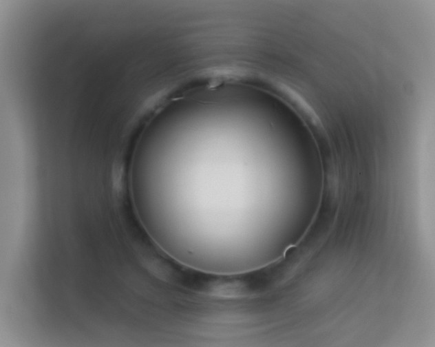 X0000113530403200909250910