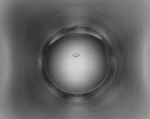 X0000113530404200909250910