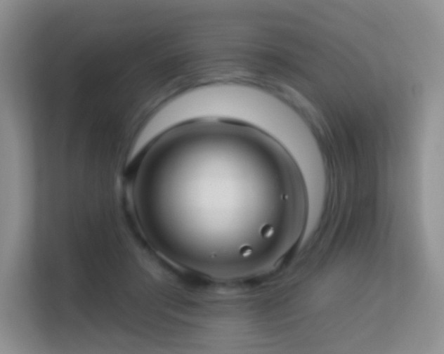 X0000113530405200909250910