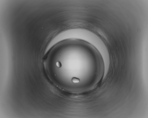 X0000113530407200909250910