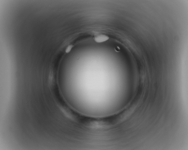 X0000113530408200909250910