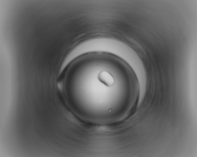 X0000113530409200909250910