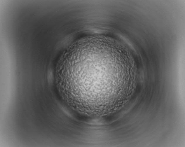 X0000113530410200909250910