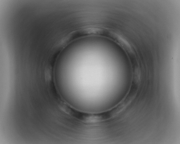 X0000113530413200909250910