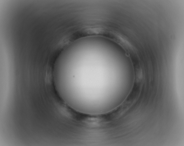 X0000113530414200909250910