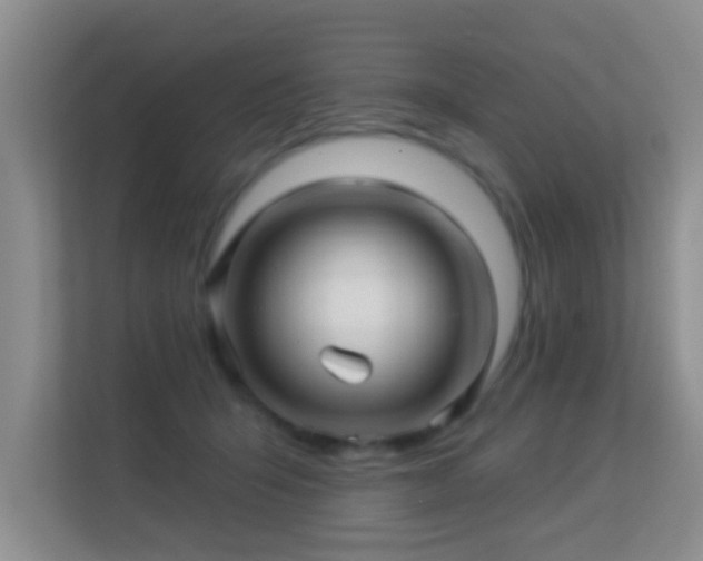 X0000113530415200909250910