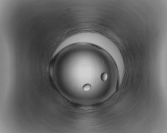 X0000113530417200909250910