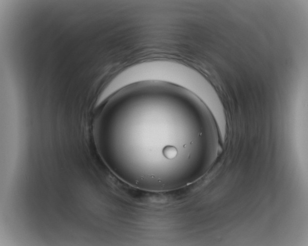 X0000113530423200909250910