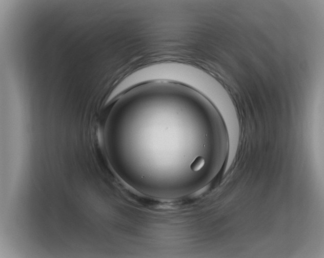 X0000113530425200909250909