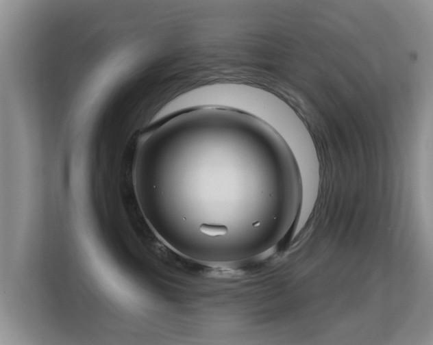 X0000113530429200909250909