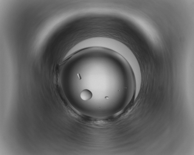 X0000113530431200909250909