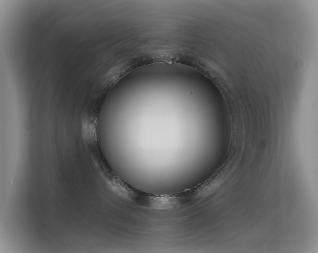 X0000113530432200909250909