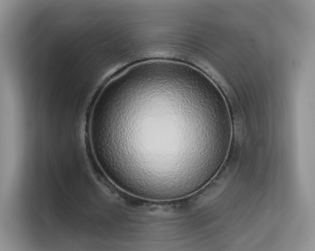 X0000113530434200909250909