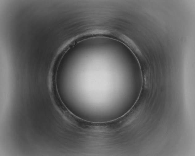 X0000113530436200909250909