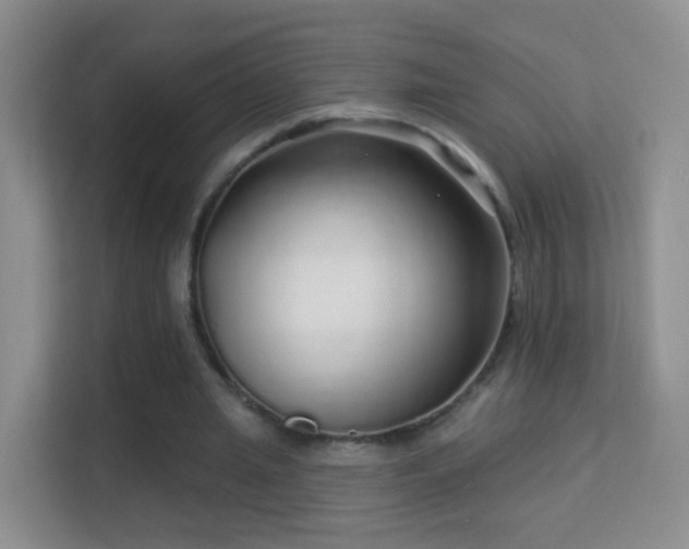 X0000113530437200909250909