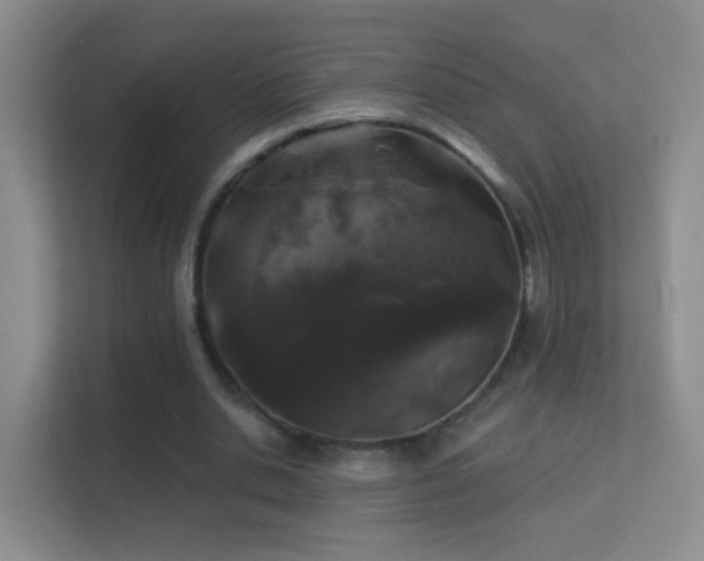 X0000113530438200909250909