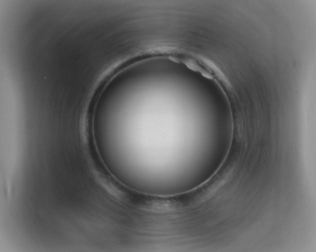 X0000113530439200909250909