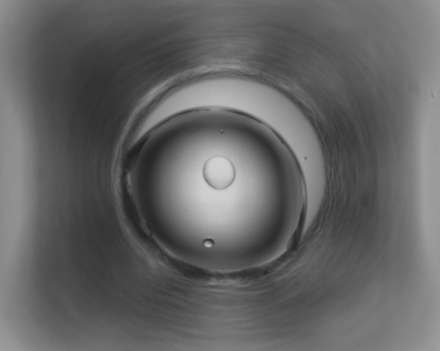 X0000113530440200909250909