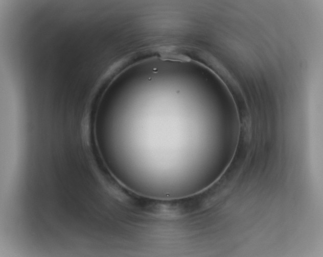 X0000113530442200909250909