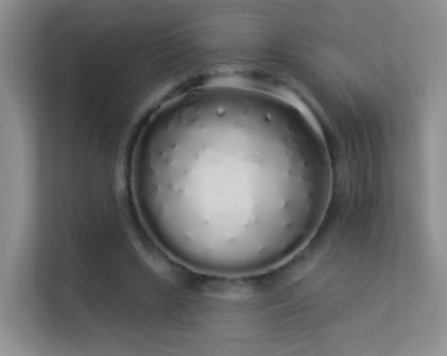 X0000113530443200909250909