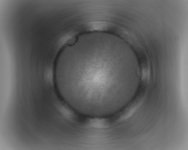 X0000113530444200909250909