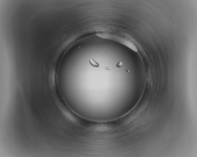 X0000113530445200909250909