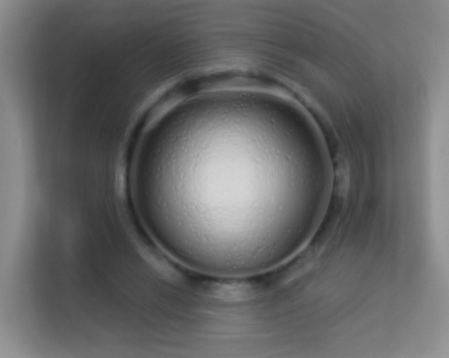 X0000113530446200909250909