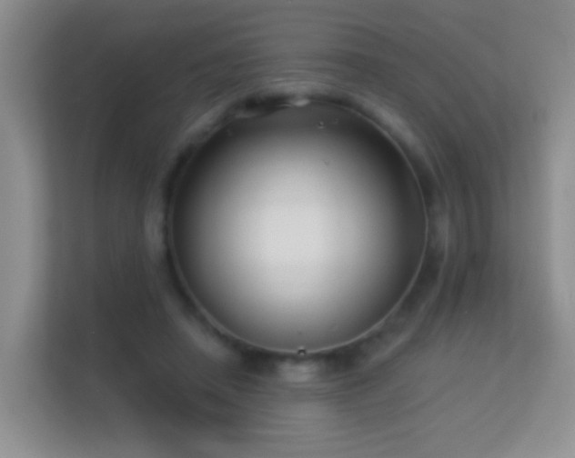 X0000113530450200909250909