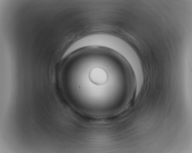 X0000113530452200909250909