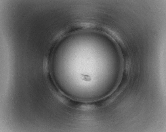 X0000113530453200909250909