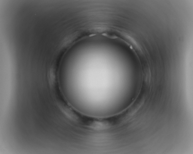 X0000113530455200909250909