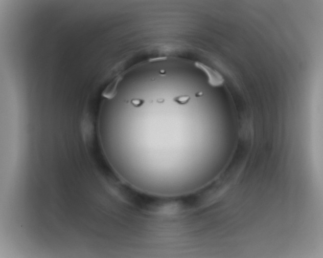 X0000113530456200909250909