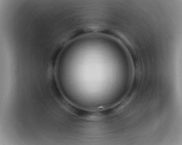 X0000113530459200909250909